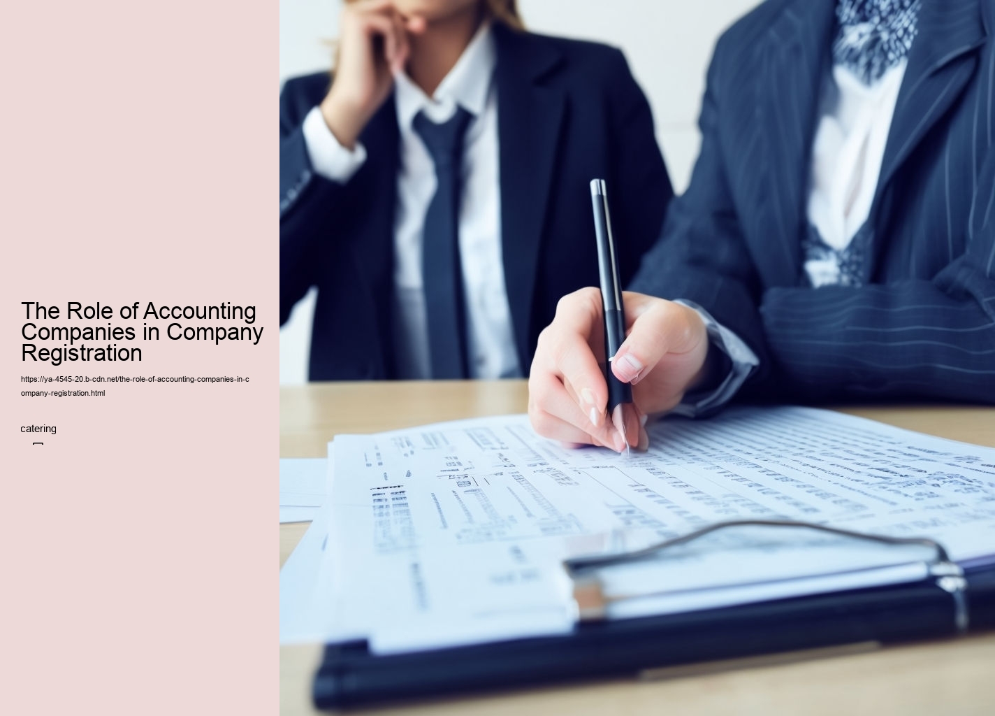 The Role of Accounting Companies in Company Registration